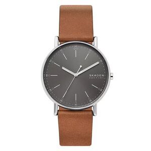 Skagen Men's Signatur  Grey Dial Watch - SKW6578